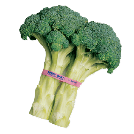 Imprinted PLU Bands Broccoli