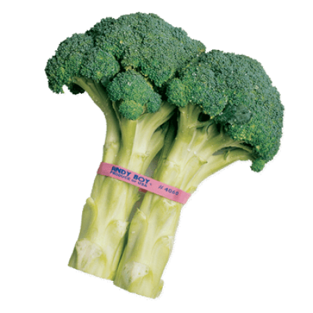 Imprinted PLU Bands - Broccoli